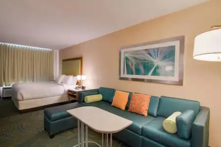 SpringHill Suites by Marriott Orlando Lake Buena Vista South - 43