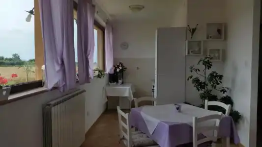 Bed and Breakfast Le Rose - 14