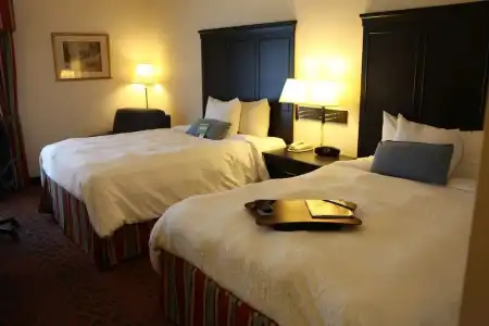 Bloom Mississauga, Tapestry Collection by Hilton - 5