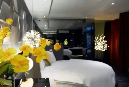 Bonita Signature - 28