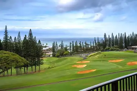 Kapalua Villas Maui - 172