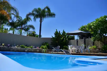 Palms Bed & Breakfast - 7