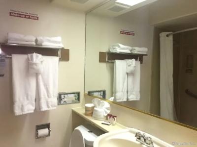 Anaheim Discovery Inn and Suites - 52