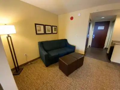 Comfort Suites Fredericksburg North - 82