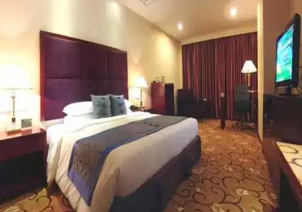 Wanyou Conifer Chongqing - 3