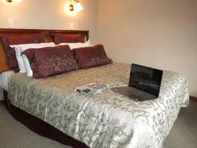 Distinction Coachman, Palmerston North - 31