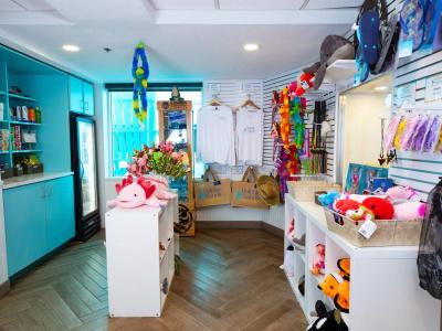 Dolphin Sands Clearwater Beach, an Ascend Collection - 34