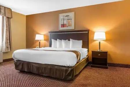Quality Inn & Suites Bloomington University Area - 5