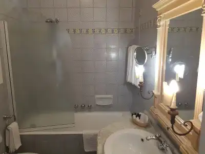 Palatium Mari - 30