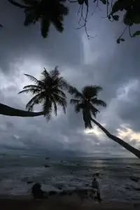 Coco Tangalla - 17