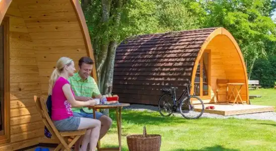 Azur Waldcamping Auwaldsee - 16