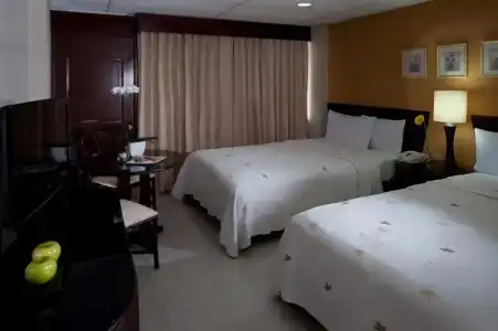 Centro Plaza Hodelpa - 35