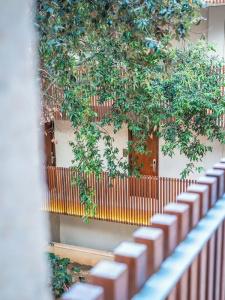 Canyamel Park & Spa - Adults Only - 106