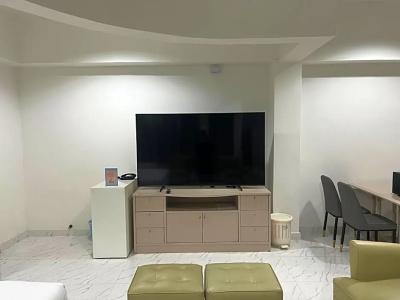Mall Suites - 218