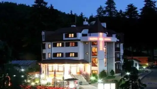 Villa Alpin - 9