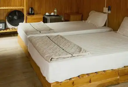 Catba Oasis Bungalows - 51
