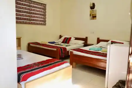 Bedouin Garden Village, Dive - 54