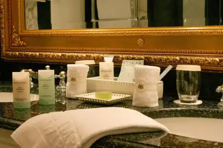 Imperial, a Luxury Collection, Vienna - 89