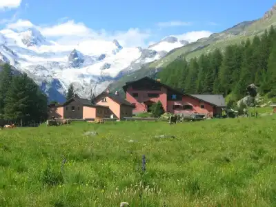 Roseg-Gletscher - 27
