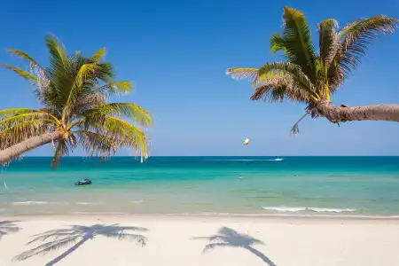 The samui beach resort - 16