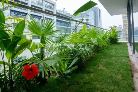 My Way & Residence - 106