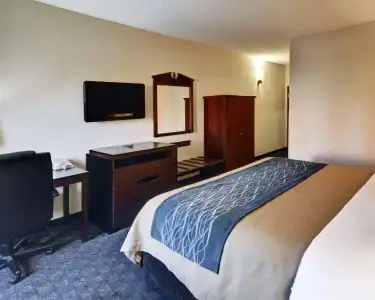 Quality Inn & Suites Irving DFW Airport South - 72