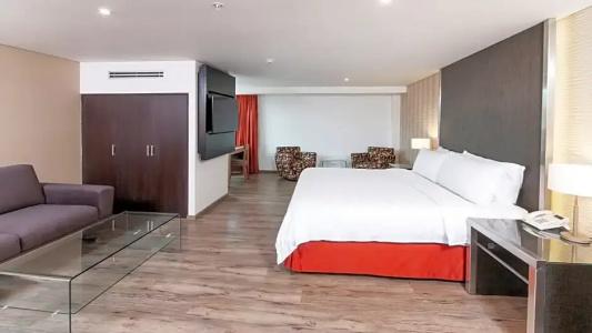 Holiday Inn Zona Centro by IHG - 55
