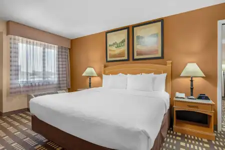 Quality Inn & Suites Plano East - Richardson - 25