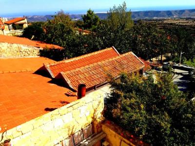 Lofou Traditional Stone House - 27
