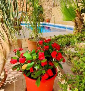 Boutique Hostal Lorca - 33