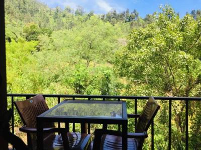 Wild Resort Ella - 18