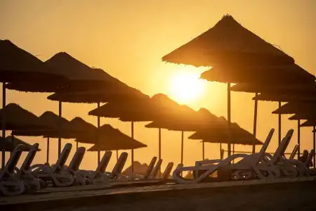 Grand Bahama Beach Ex. Happy Beach - 17