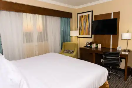 Holiday Inn Houston Downtown by IHG - 4