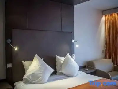 Hôtel & Spa Vatel - 42