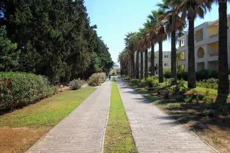 CALIMERA Delfino Beach Resort & Spa - All inclusive - 33