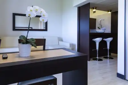 Suite Elite - 7
