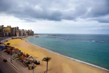 Regency Alexandria - 11