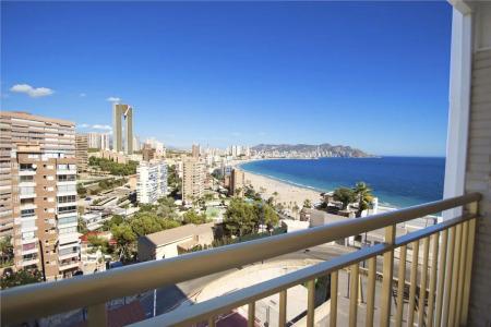 Servigroup Torre Dorada - 15