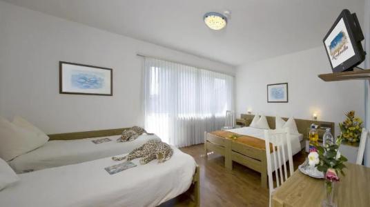 Rondinella Locarno - 49