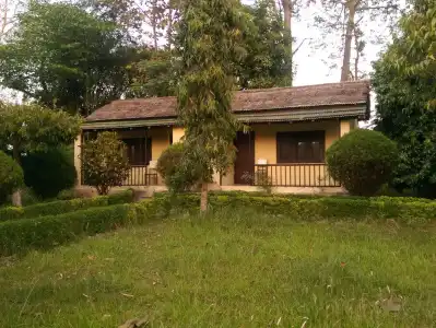 Bardia Forest Resort - 2