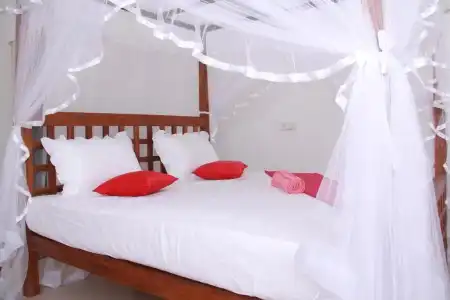Resort of Happiness - 29