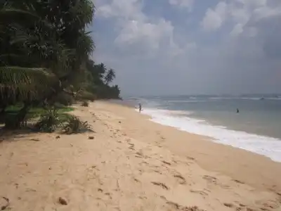 White Surfing Beach Resort - 9