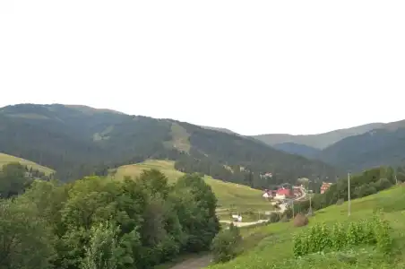 Zarinok - 31