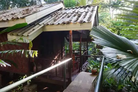 Khao Sok Riverside Cottage - 31
