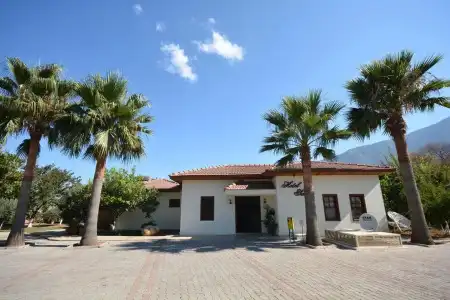Saray - 15