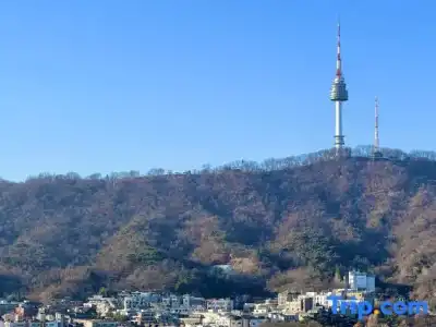 Myeongdong Merlin - 101