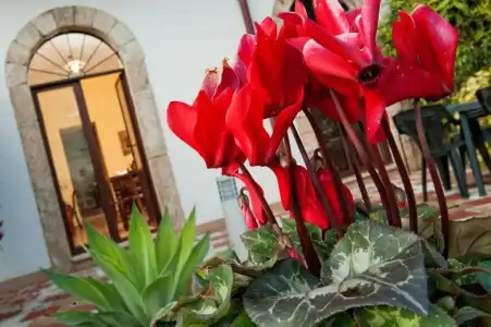 Casale la Zagara - 38