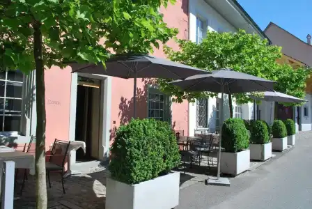 Gasthaus Hirschen - 15