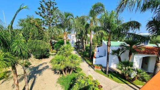 Cocos Park Ischia - 12