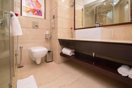 Shakuns & Resorts Jaipur - 11